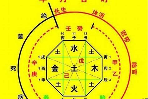 喜用神金意思|八字入门基础 第六篇 如何判断八字喜用神